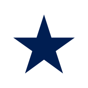 Star Bullet